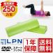  stretch paul (pole) half cut ( light green ) corporation LPN