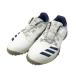 ADIDAS GOLF Adidas Golf EE9343 код Chaos боа шиповки отсутствует туфли для гольфа оттенок белого 24.5cm Golf одежда женский 