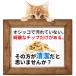 �L�� �y���b�g 22kg �L�̍� �V�X�e���g�C�� �L�� �؎��y���b�g �L�g�C���� �L �� ������ ���Y ���L �����΍� �E�L �z���C�g�y���b�g 10�����ʒ� �֘A�摜4