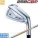 �u���a�X�g���S���t 2025 258 CBP [�V�[�r�[�s�[] �A�C�A��(DynamicGold HT)5�{�Z�b�g