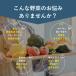 ������� ���Y �h���C�x�W 100���������T�C�Y �O���[���x�[�X �~�b�N�X ����� ���Z �L���x�c ���� ������ �l�Q �卪 �ʂ˂� ��� �ЊQ ���H ���[���֑������� �֘A�摜4