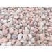 �ʍ��� �s���N �ʐ� �� ���� �� �s���N�^���u�� ��15-25mm 20kg or 10kg �K�[�f�j���O �~�� �~�� ��� �m�� ���ϐ� �K�[�f���X�g�[�� �֘A�摜2