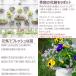 �ԕc �� �Z�b�g 12�|�b�g�{�񂹐A���Z�b�g �������Ȋ񂹐A�����ȒP�ɍ��܂� �������� ����E���������� �֘A�摜3