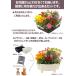 �ԕc �� �Z�b�g 12�|�b�g�{�񂹐A���Z�b�g �������Ȋ񂹐A�����ȒP�ɍ��܂� �������� ����E���������� �֘A�摜5