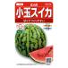  овощи. вид реальный . овощи 920631 маленький шар арбуз . маленький .