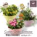 �G�߂̊񂹐A�� �M�t�g�ɍœK�ł��B �J�X�^���I�[�_�[�ł���{�[���v�����^�[�� �������� ����E����������