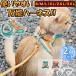 �� �L �n�[�l�X ���[�h ���� ��� 2�_�Z�b�g �E���Ȃ� ���p �L�p �ʋC�� �ȒP���� �x�X�g ���˃e�[�v �}�W�b�N�e�[�v �����Ȃ� �Ռ��z�� �U��