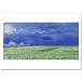 �S�b�z�@���_�̉��̔���Wheatfield under Thundercloud�@�W�N���[�|�X�^�[B4�i257�~���~364�~���j