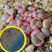  семена 15 шарик li тауп s дайвер jens аметист C270 фиолетовый .. шар. семена (Lithops divergens subsp. amethystina C270)