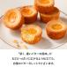 �o�^�[�o�g���[ ���� �y�o�^�[�K���b�g9���z���َq �M�t�g � �X�C�[�c �K���b�g �Ă��َq �m�َq ���j ���j �o�Y�j ���� �֘A�摜2