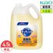 �ԉ� �L���L���b�g 4.5L �Ɩ��p ��e�� �l�ߑւ� �H��p������� �H��p���