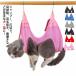  собака кошка собака пассажирский Harness кусачки для ногтей подвешивание ниже обрезка купальный кусачки для ногтей глаз лекарство чистка зубов шампунь одежда лекарство .. предотвращение домашнее животное красота дом уход .. предотвращение 