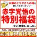 ������ �L�q ���[�X�g�`�L�� �Ă����� ���� �~�[���L�b�g �������� ��H�L�q �������Z�b�g ���Y �y�� �O���� �����E�W�̃o�Y���V�s �Ƃ肱�ɂ����Ⴄ���� �֘A�摜2