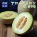  Arrow ma дыня Shizuoka префектура производство 1 шар гора и т.п. класс .. для 