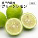  нет пестициды Okayama префектура производство зеленый лимон примерно 2.5kg для бытового использования есть перевод размер не комплект воск . коррозия . защита от плесени . не использование ... лимон 10 месяц сверху . примерно .. отправка . покупка 
