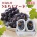 2026 подарок на Bon Festival подарок .. виноград Okayama префектура производство новый pio-ne красный превосходящий товар примерно 600g×2. несессер ввод подарок фрукты 6 месяц последняя декада примерно .. отправка 