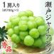  Seto ja Ian tsu красный превосходящий товар большой . примерно 700g×1. Okayama префектура Special производство виноград виноград .. фрукты подарок подарок 9 месяц последняя декада примерно .. последовательный отправка 