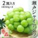  Seto ja Ian tsu красный превосходящий товар примерно 500g×2. примерно 1kg Okayama префектура Special производство виноград виноград .. фрукты подарок подарок 9 месяц последняя декада примерно .. последовательный отправка 