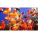 [ free shipping ] colorful pleasure goldfish Mix something long VERSION 5 pcs set S~M size goldfish 