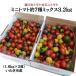 親バカトマトのミニトマト約7種ミックス 3.2kg いわき市産 助川農園 農園直送