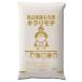 新麦 令和4年産 キラリもち麦 10kg (5kg×2袋) 岡山県産 国産100％ もち麦