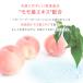 �E�F�b�g�e�B�b�V�� ����ӂ� ���{�� �m���A���R�[�� 36�Z�b�g (2880���F80���~36��)�̎���ӂ� �R���p�N�g�܂Ƃߔ��� ��e�� �֘A�摜5