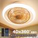 �y2026�V�i.��d��]�z�V�[�����O�t�@�����C�gled�a���k�� 4Dx360����U�� 4000lmdc���[�^�[�É� �������F �V�[�����O�t�@�� 8-10�� 6�i���� ��@ �����R��APP