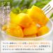 �Ⓚ�}���S�[ 500g�~2�� 1kg ���Y�� �}���S�[ �J�b�g�}���S�[ �J�b�g �_�C�X ��ނ��s�v �Ɩ��p �������� �֘A�摜1
