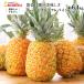 [ trial price 15%OFF!!]... Gold premium pine approximately 6.4kg 4 sphere smi full height sugar times pineapple pineapple Bon Festival gift year-end gift 