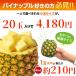 �p�C�i�b�v�� �Ɩ��p ���� 20�� ��14kg �Ïn���p�C�� �֘A�摜1