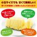 �p�C�i�b�v�� �Ɩ��p ���� 20�� ��14kg �Ïn���p�C�� �֘A�摜3