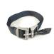 apollo Apollo BCD бак фиксация ремень [BCBelt-260218B]