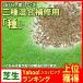  lawn grass raw three kind mixing lawn grass for repair kind ( lawn grass mail order )