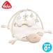 Fehnfe-n baby коврик *...FE54580 игрушка новорожденный младенец 0 лет 1 лет празднование рождения baby 