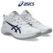  корзина обувь Asics GELHOOP V17 EXTRA WIDE гель обруч extra широкий bashu баскетбол унисекс 1063A097-104 asics