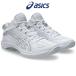  корзина обувь Asics GELHOOP V17 NARROW гель обруч narrow bashu баскетбол унисекс белый белый 1063A098-100 asics