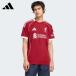  одежда футбол Adidas liba бассейн liva бассейн FC 25/26 копия Home форма LIVERPOOL JYF22-JV6423 adidas