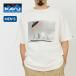 KAVU Cub - фото Tee Chill ba19822432 мужской футболка tops короткий рукав Short рукав фотография принт 2026 весна лето 