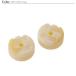 LOGOS ���S�X �X�_���p�b�NGT-16C�E�R���p�N�g(2pcs) 81660609 2026 �t�� �֘A�摜3