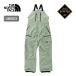 THE NORTH FACE North Face Ray задний ride bib унисекс NS62513 The * North * лицо Gore-Tex GORE-TEX водонепроницаемый 2026 осень-зима 