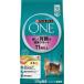 ONE кошка 11 лет .. поддержка chi gold 2.2kg