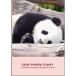  бесплатная доставка 2026 отчетный год dia Lee 1 месяц начало B6 we k Lee Panda CD-1380-PA поздравление жизнь ske Jules . блокнот взрослый симпатичный . мир 8 год животное фотография 