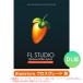 IMAGE LINE FL STUDIO SIGNATURE Cross комплектация загрузка версия надежный Япония стандартный товар!