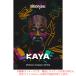UJAM BEATMAKER KAYA загрузка версия надежный Япония стандартный товар![11/4 до специальная цена!]