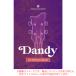 UJAM VIRTUAL BASSIST DANDY загрузка версия надежный Япония стандартный товар!
