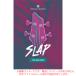 UJAM VIRTUAL BASSIST SLAP загрузка версия надежный Япония стандартный товар!