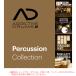 XLN AUDIO ADDICTIVE DRUMS 2 PERCUSSION COLLECTION загрузка версия 
