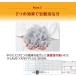 �K�}�J�H�� FLAME YARN ��՗��̂悤�ȑ��|�J�}�b�g4���g ��՗�  �ۉ�  �������� �~ �g���� �S���Q �~�M �֘A�摜5