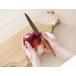 ߥ kasane ڥƥʥ 125mm SCS125U ƥ쥹 Ӥˤ Ȣ ޥ  츩ػ