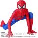 �X�p�C�_�[�}�� �q���� �R�X�v�� �ߑ� �n���E�B�� �R�X�v�� ���� �q�� �j�̎q spiderman �a���� �N���X�}�X �v���[���g �n���E�B�[�� �L�b�Y �v���[���g �֘A�摜2